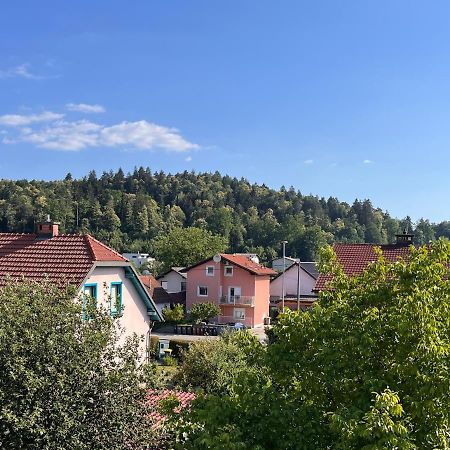 Apartment Malina - Free Private Parking Ljubljana Kültér fotó